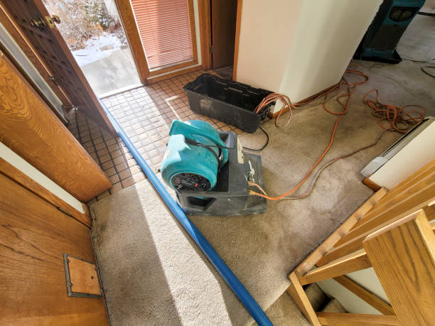 Best Water damage cleanup near me  in Roland, OK