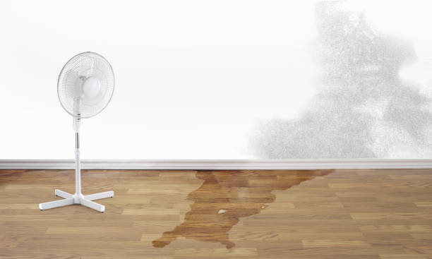 Best Flood restoration services  in Roland, OK