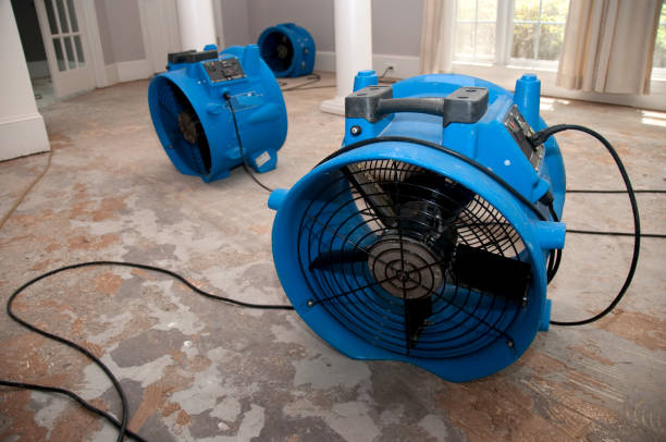 Best Emergency water extraction  in Roland, OK