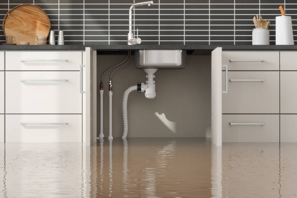 Best Residential water damage restoration  in Roland, OK