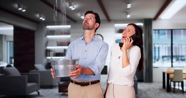 Best Ceiling water damage repair  in Roland, OK